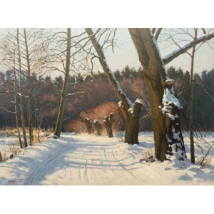 Wojciech Piekarski (1980), Krajina