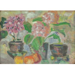 Helena JASTRZĘBSKA (1908-1968) ?, Martwa natura z pelargoniami