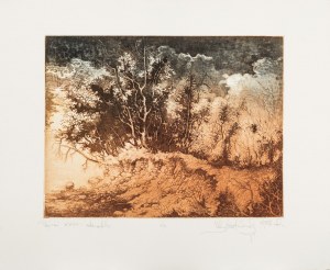 Krzysztof Wieczorek, Pejzaż XXVII, 1998