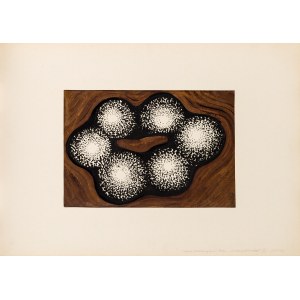 Halina Wrzeszczyńska, Chmury elektronów, 1970