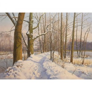 Wojciech Piekarski, Winter Landscape.