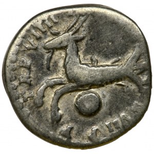 Roman Imperial, Titus, Denarius - VERY RARE