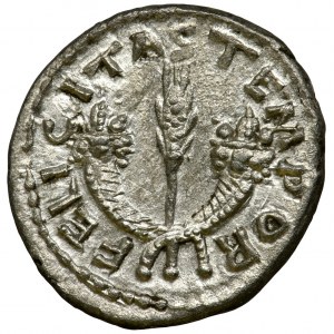 Roman Imperial, Septimius Severus, Denarius - VERY RARE