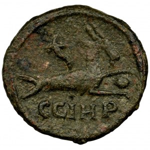 Roman Provincial, Mysia, Parium, Severus Alexander, AE21 - VERY RARE