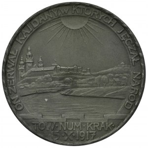 Tadeusz Kościuszko, Medal 1917