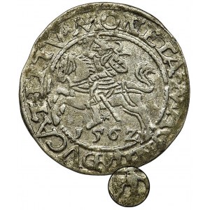Sigismund II August, Half-groat 1562 L/LITV - AXE, RARE