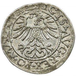 Sigismund II August, Half-groat 1562 L/LITV - AXE, RARE