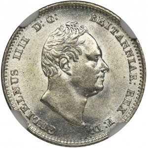 Wielka Brytania, Wilhelm IV, 4 Pensy (Groat) Londyn 1836 - NGC MS63