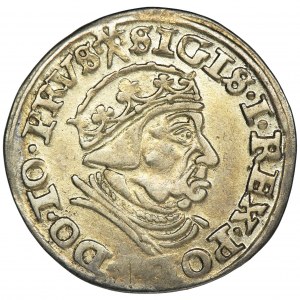 Zygmunt I Stary, Trojak Gdańsk 1540 - PRVS