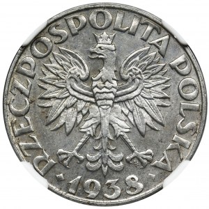 Generalna Gubernia, 50 groszy 1938 - NGC MS63 - WZÓR - ŻELAZO