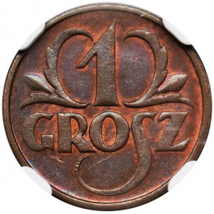 1 grosz 1925 - NGC MS65 BN