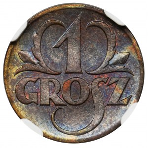 1 grosz 1923 - NGC MS65 BN