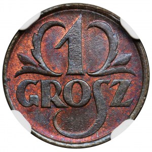 1 grosz 1925 - NGC MS66 RB