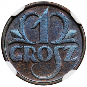 1 grosz 1928 - NGC MS66 BN