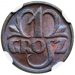 1 grosz 1932 - NGC MS67 BN