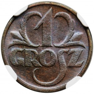 1 grosz 1933 - NGC MS66 BN