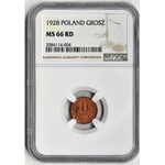 1 grosz 1928 - NGC MS66 RD