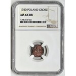 1 grosz 1930 - NGC MS66 RB