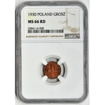 1 grosz 1930 - NGC MS66 RD - RZADKI