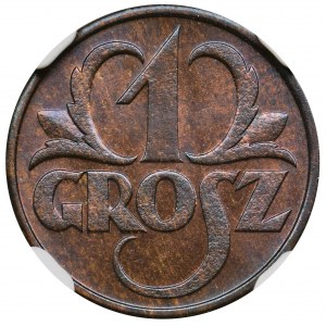 1 grosz 1931 - NGC MS66 RB