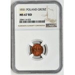 1 grosz 1931 - NGC MS67 RD