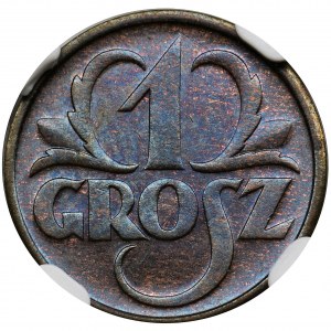 1 grosz 1934 - NGC MS66 BN