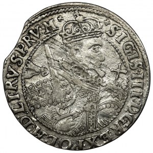 Zygmunt III Waza, Ort Bydgoszcz 1623 - PRV M - RZADSZY