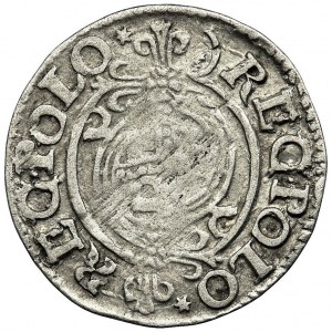 Sigismund III Vasa, 3 Polker, Bromberg 162?