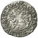 Sigismund II August, Halfgroat Vilnius 1557 - two trefoils - UNLISTED, VERY RARE