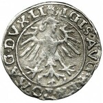 Sigismund II August, Halfgroat Vilnius 1557 - two trefoils - UNLISTED, VERY RARE