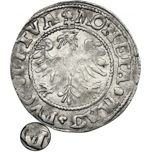 Sigismund II August, Halfgroat Vilnius 1545 - double D, VERY RARE