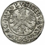 Zygmunt II August, Półgrosz Wilno 1546 - LITVΛ - NIENOTOWANY, RZADKI