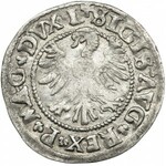 Sigismund II August, Halfgroat Vilnius 1546 - letters Λ - RARE