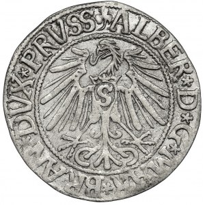 Prusy Książęce, Albrecht Hohenzollern, Grosz Królewiec 1543