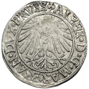 Prusy Książęce, Albrecht Hohenzollern, Grosz Królewiec 1542 - podwójne R