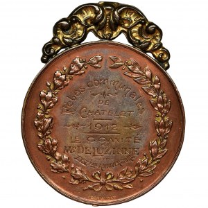 Belgium, King Albert, Medal with engraving 1912