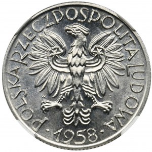 5 złotych 1958 Rybak - BAŁWANEK - NGC MS66 - z efektem lustrzanki - ZJAWISKOWA