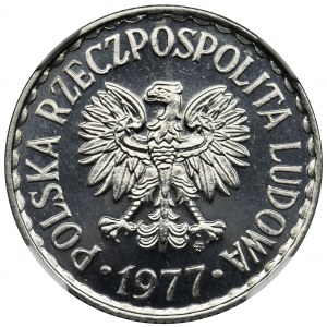 1 złoty 1977 - NGC MS64 PL - jak lustrzanka - BARDZO RZADKI