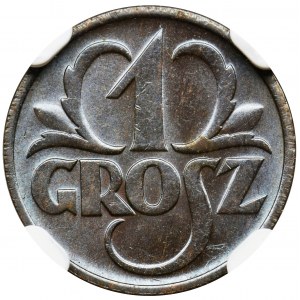 1 grosz 1935 - NGC MS64 BN
