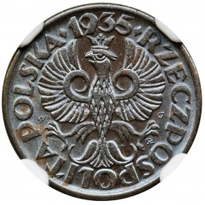 1 grosz 1935 - NGC MS64 BN