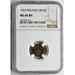 1 grosz 1923 - NGC MS66 BN