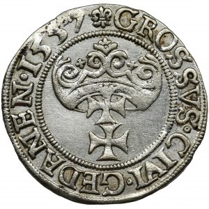 Zygmunt II August, Grosz Gdańsk 1557 - szerokie popiersie - RZADKI
