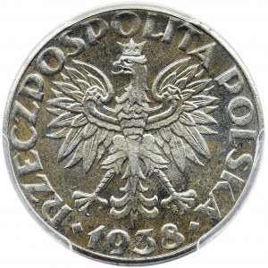 Generalna Gubernia, 50 groszy 1938 - PCGS MS65 - WZÓR - ŻELAZO - RZADKOŚĆ w tym stanie