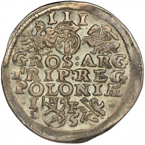Zygmunt III Waza, Trojak Lublin 1595
