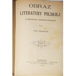CHMIELOWSKI PIOTR - OBRAZ LITERATURY POLSKIEJ.