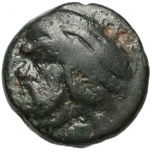 Grecja, Tracja / Chersonez, Pantikapajon (IV/III w. p.n.e.) Brąz