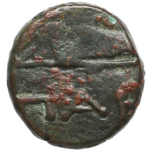 Grecja, Tracja / Chersonez, Pantikapajon (II połowa II w. p.n.e.) Brąz