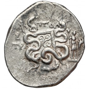 Grecja, Lidia, Tralleis (132-131 p.n.e.) Cystofor, Tetradrachma