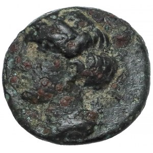 Grecja, Jonia, Efez (305-288 p.n.e.) Brąz