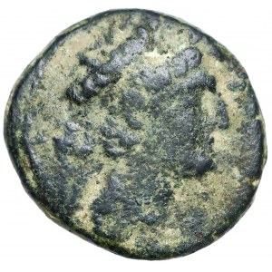 Grecja, Seleukidzi, Antioch XII (87/6-83/2 p.n.e.) Brąz